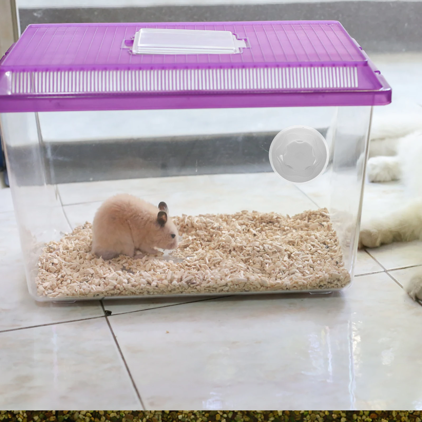

6pcs Suction Turtle Platform Birds Perch Knob Window ABS Plastic Fish Tank Cage Fish Tank Accessories Accessories Pet Nest Toy