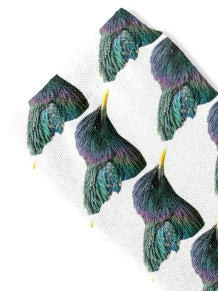 Meine Sternen socken Rugby Hip Hop Socken männliche Frauen