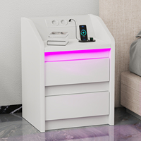Smart Bedside Table with USB Charging, Nightstand with LED Light, 2 Drawers Nightstand, LED Bedside Table for Living