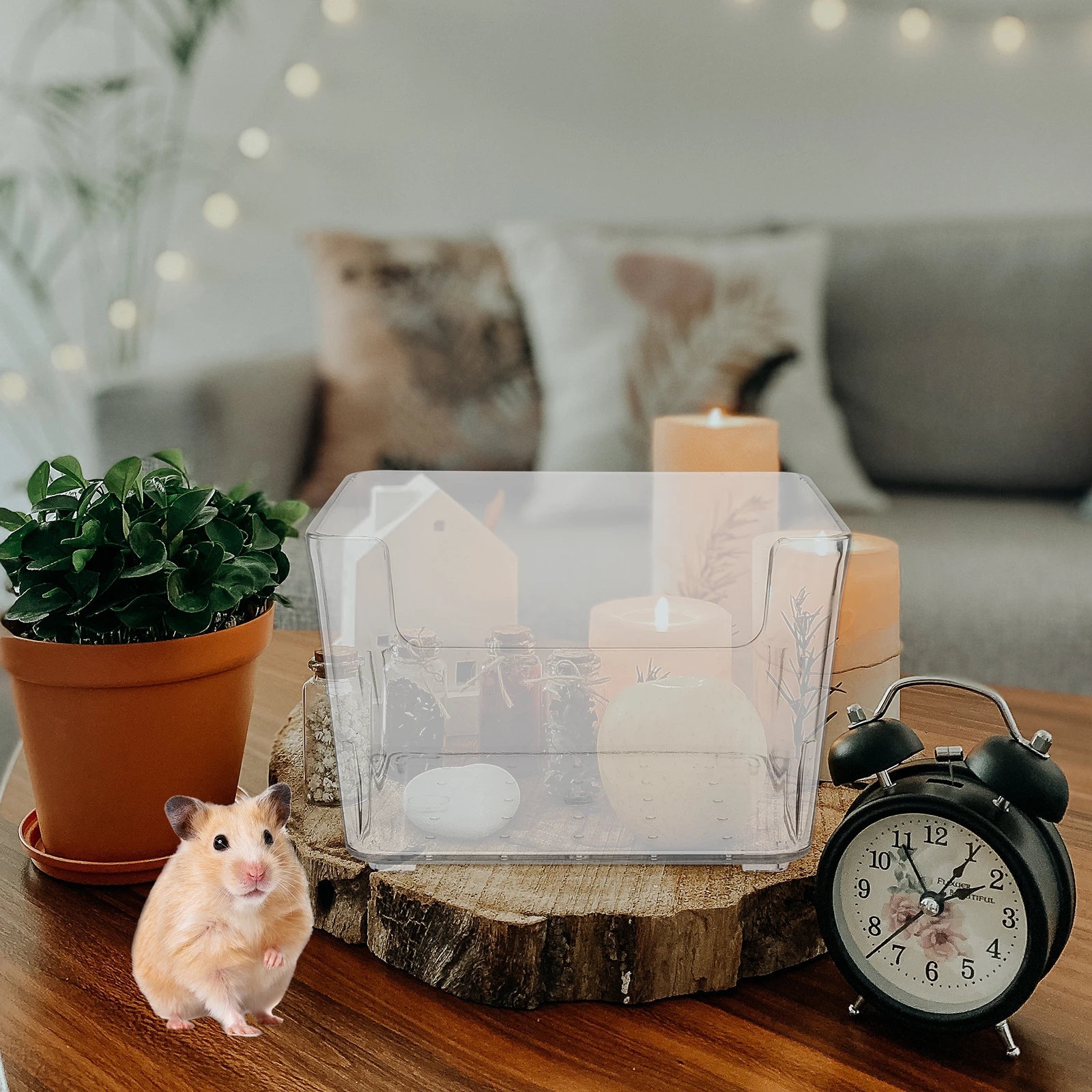 

Hamster Bath Tub Small Pet Washing Basin Transparent Acrylic Durable Lightweight Compact Practical Home Pet Store Use