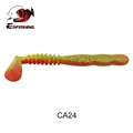 CA24