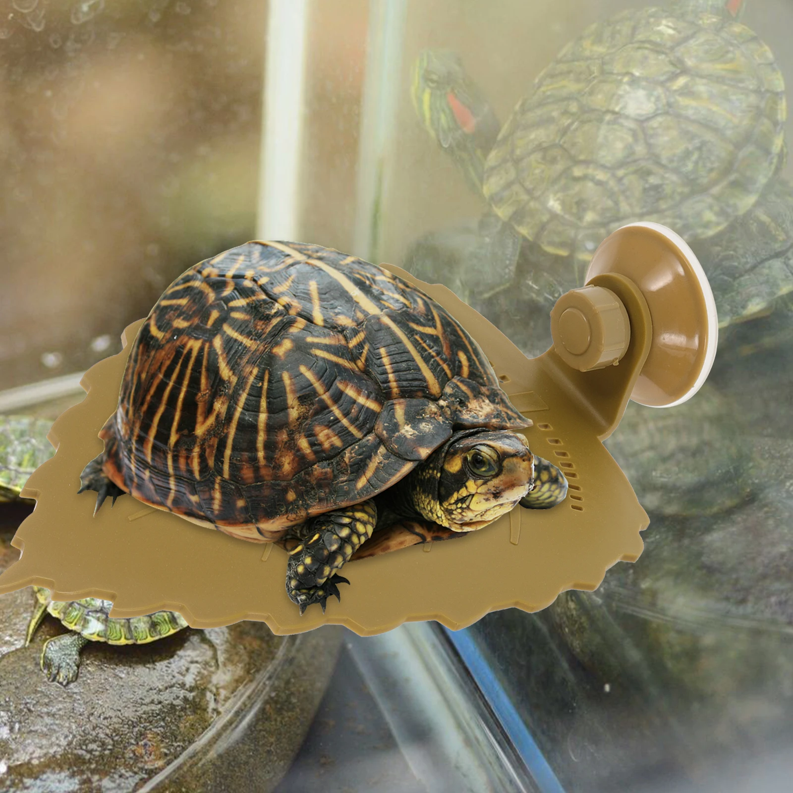 

Large Turtle Platform for Resting Climbing Basking Durable Environmental Friendly Terrarium Aquarium Decor Accessories
