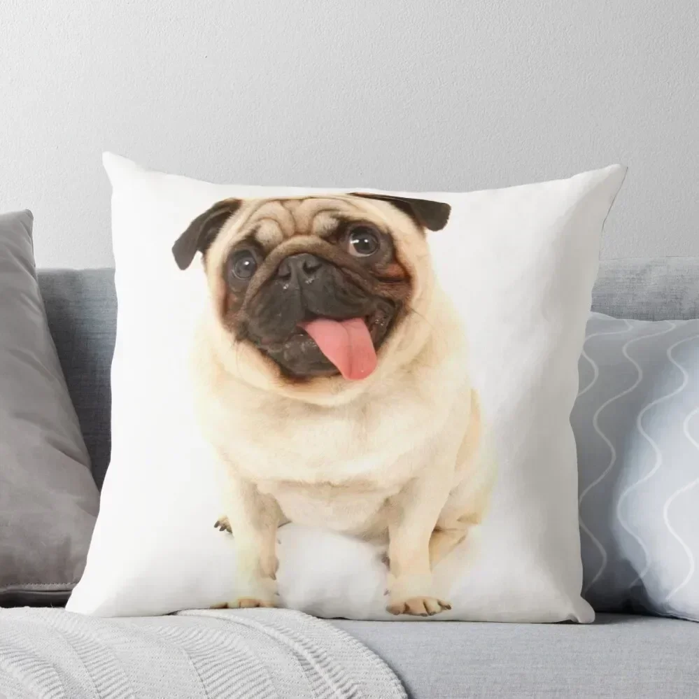 

pug Throw Pillow Cushion Cover Luxury Sofa Cushions Luxury Living Room Decorative Cushions pillow