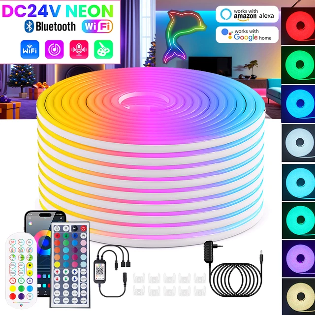 WIFI Bluetooth RGB Neon LED Strip 5m 10m 20m 30m Light 24V 24key 44key Remote Control EU US UK AU Power Kit 60LED/m Wodoodporny
