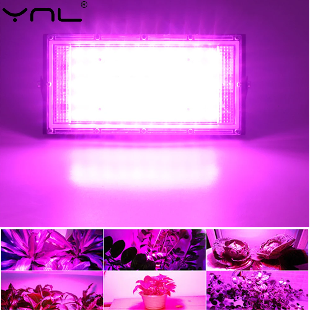 AC 220V LED Grow Light 50W Full Spectrum Light Phyto Lamp For Outdoor Hydroponic Greenhouse Flower Seeds Plant Growing Lamps