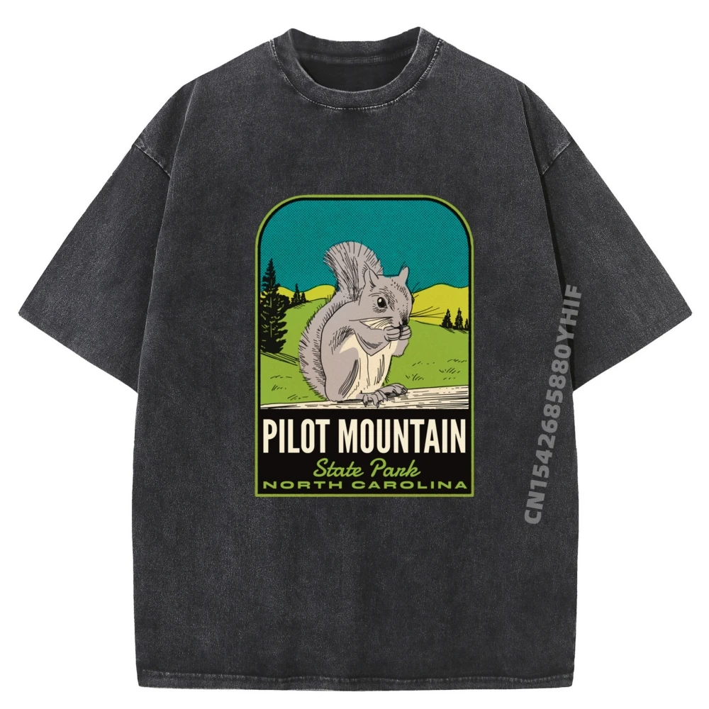 

Pilot Mountain State Park NC Vintage Travel T Shirt Men 100% Cotton Male Vintage Washed Shirt Mens Classic Printed Tops