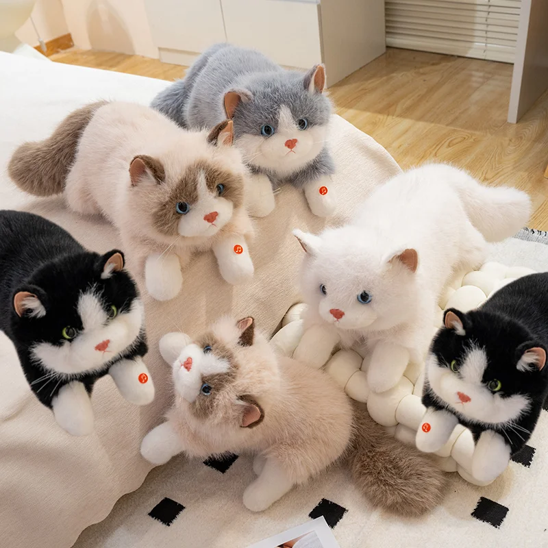 

Моделирование Ragdoll Cat Плюшевая игрушка Fairy Cat Плюшевая кукла Коричнево-белое лицо Рэгдолл Плюшевая кошка Домашний декор Черная киска Кукла Игрушки