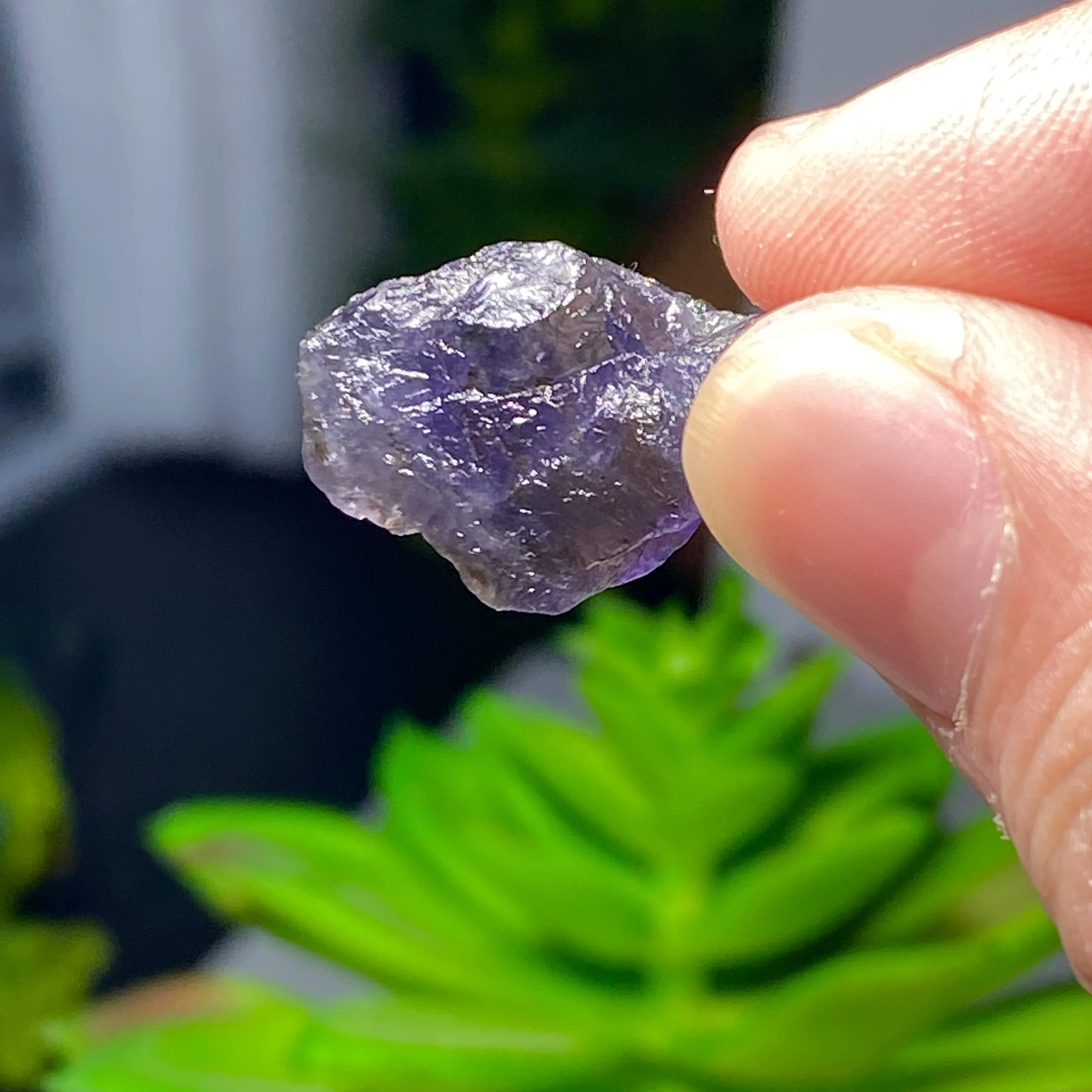 Random 50G/100G Hig…