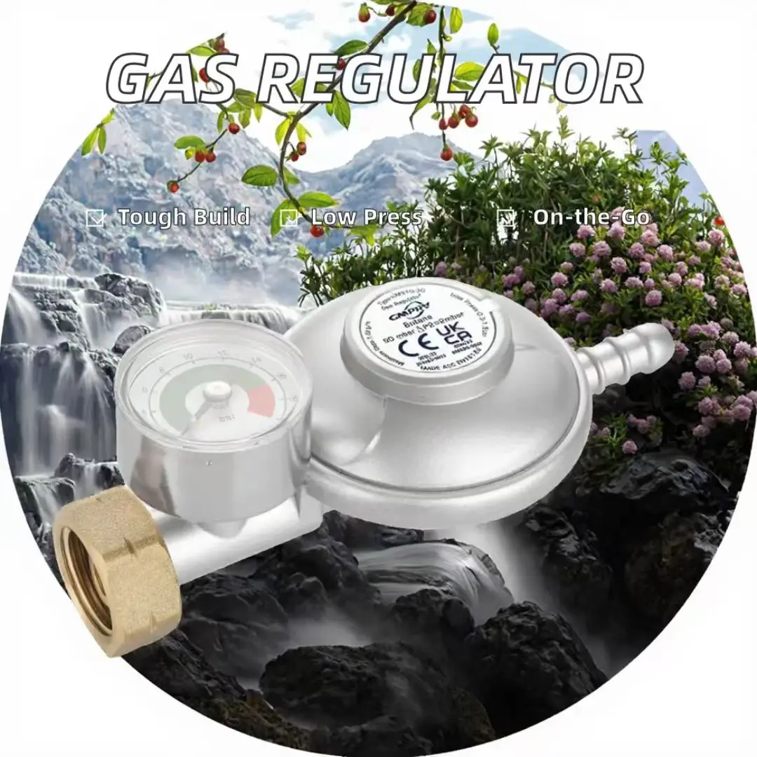 Low Pressure Gas Regulator With Gauge 30 37Mbar Camp Stove Grill Gas Reduce Valve Home Cooking LPG Valve Propane Adaptor