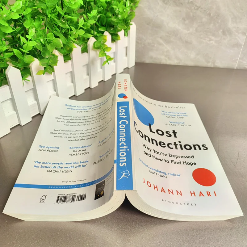 Connessioni perdute Perché non depresse e come trovare lo spero Libri in inglese Libros Livros