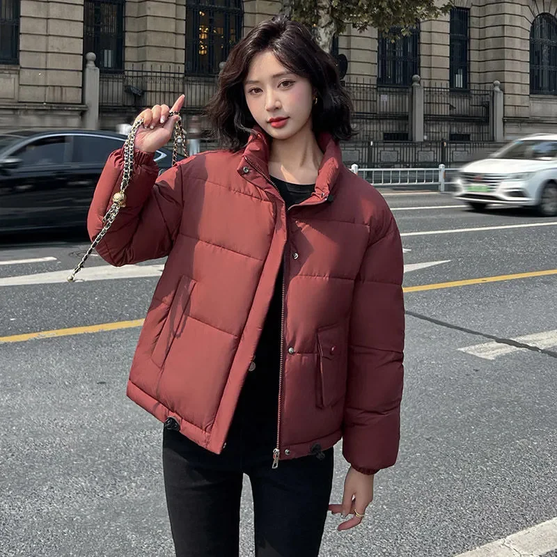 Chaqueta corta de algodón para mujer, abrigo holgado con cuello levantado, ropa de abrigo informal cálida, versión coreana, invierno, novedad de 2024