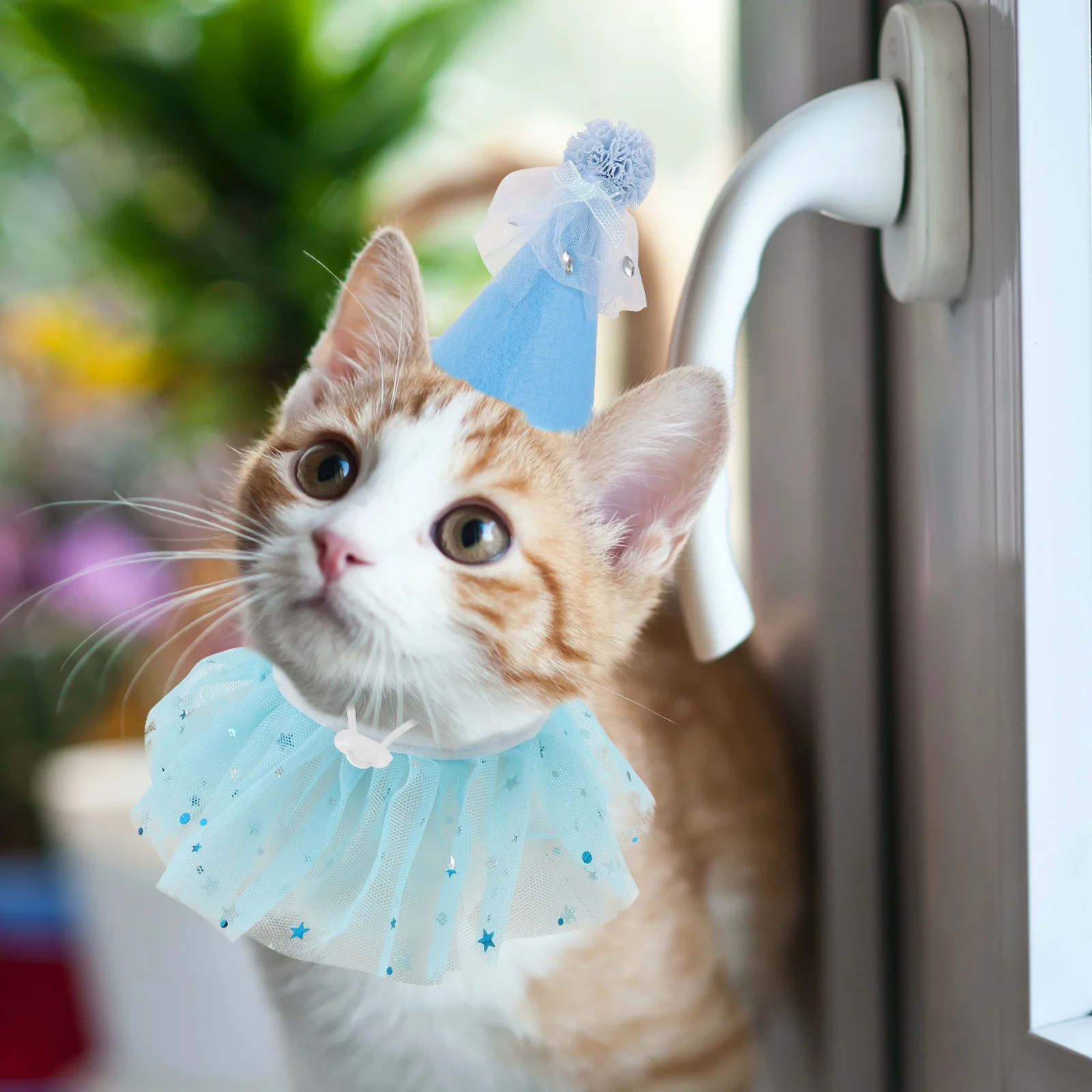 

Decorative Pet Blue Mesh Hat Pet Dog Collar Adjustable Cat Decorative Cat Collar Dog Accessories