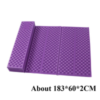 2025 Outdoor Sleeping Pad Camping Inflatable Mattress Folding Camping Moistureproof Cushion Mattress Pad Travel Hiking NEW