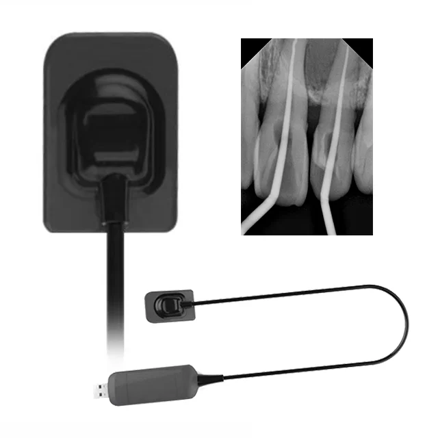 Factory price Dent al Intraoral X-Ray Sensor Digital RVG HDR CMOS sensor