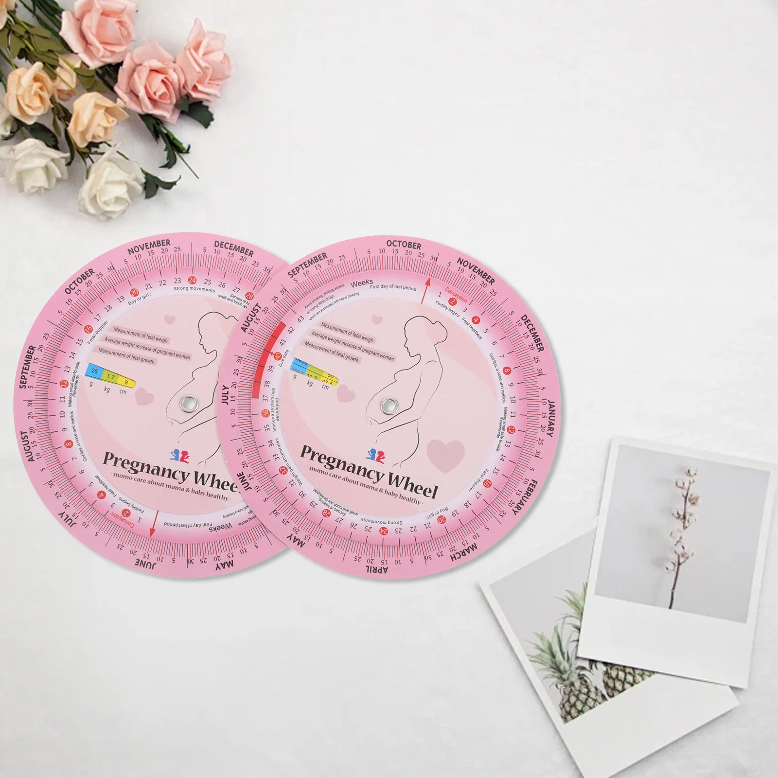 2Pcs Pregnancy Calculator Wheel Pregnant woman's Pregnancy Check Tool For Gestational Age Tracking Development Monitoring