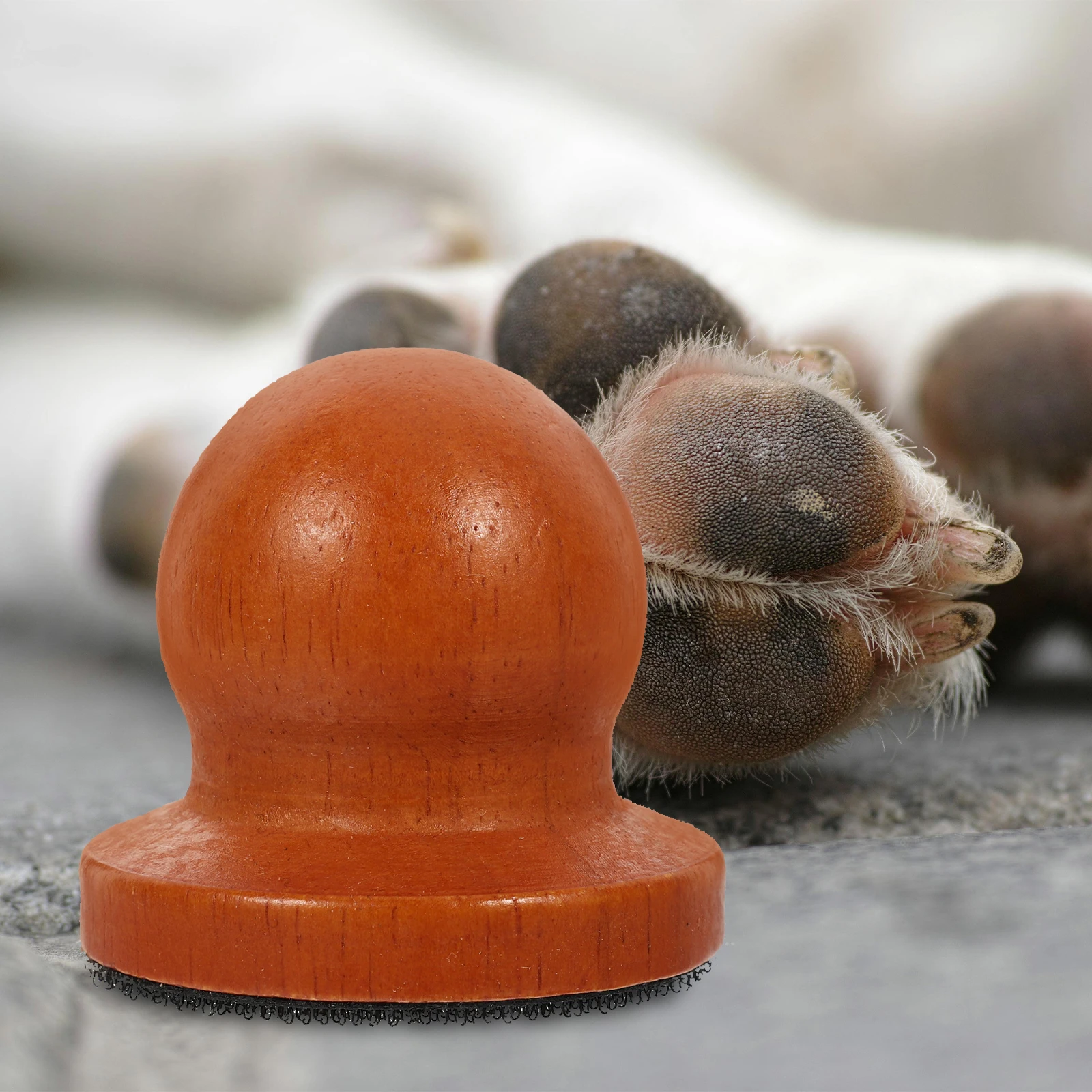 

1 set 1 Set Dog File Wood Handle Pet Nail Trimmer Portable Puppy Grinding Tool For Use Nail Replacement Accessory