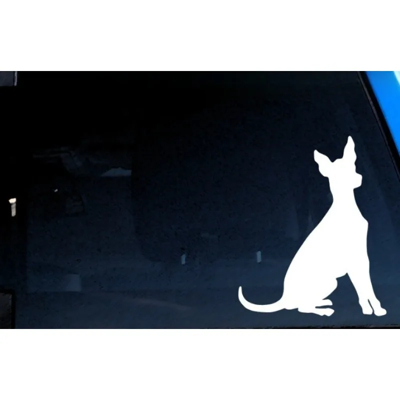 Etiqueta engomada del coche Xoloitzcuintle Xolo vinilo calcomanía opciones de color 15CM PVC KK