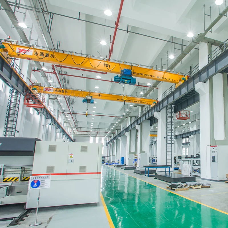 Workshop New Design Electric Hoist Single Girder Overhead Crane 1~10t Max Lifting Height 30m Pendant Wireless Remote Motor