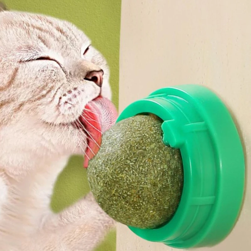 Natural Catnip Cat girevole Catnip Wall Ball Toys pulizia dei denti Catnip Toy