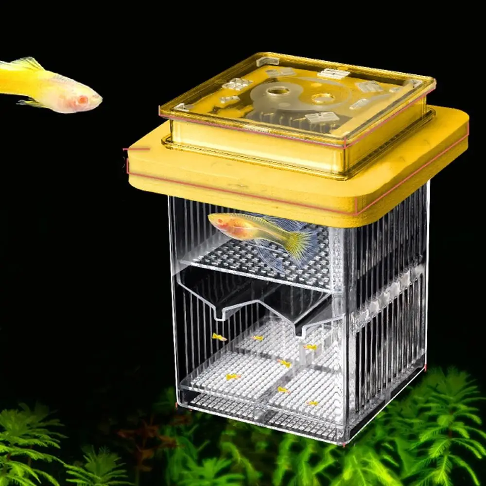 صندوق ناسخ جرو شفاف قابل للنفاذ يمنع الهروب من الحياة المائية التفريخ صندوق تفريخ عائم قابل للفصل للأسماك الصغيرة #2