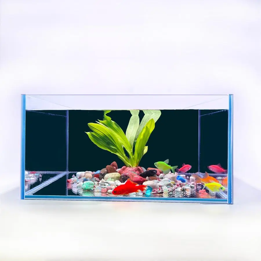 

Аквариум на 1 галлон (30x30x15 см) из низкожелезистого стекла с нескользящим ковриком, фоновой бумагой и защитными уголками для бетт, черепах, сомов