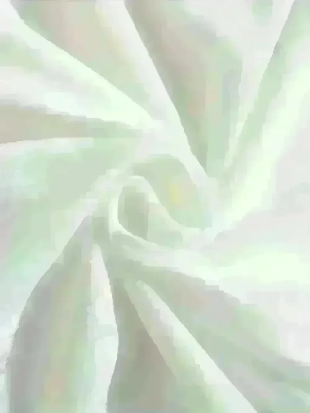 Coquette Bow Gingerbread Disney Christmas Shirt Mickey and Friends Gingerbread Cookies Shirt