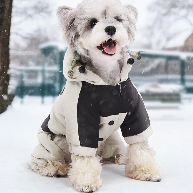 Thumbnail 2 - #7 Waterproof Dog Jackets Comparison Guide