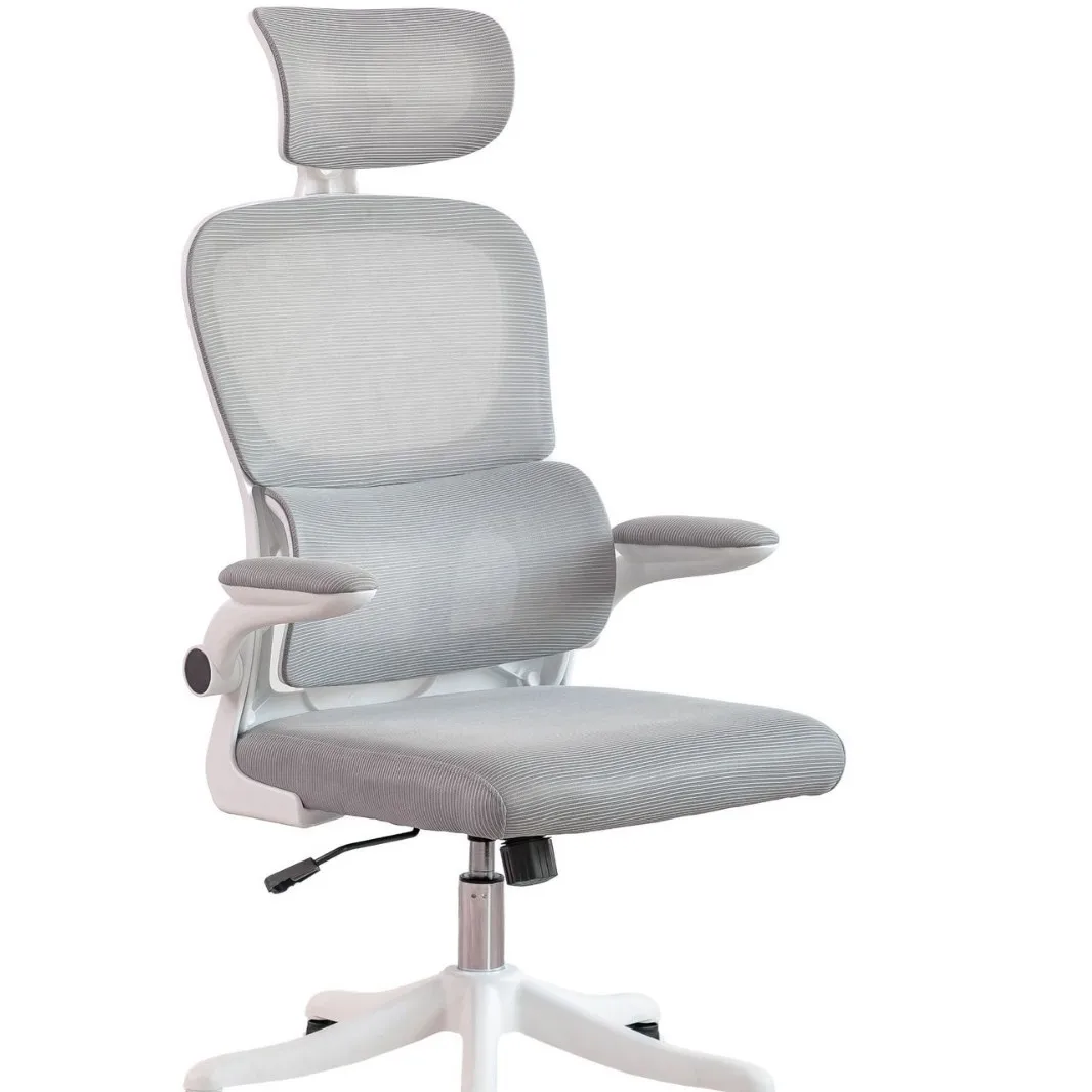 Ergonomic Chair for Learning, Home Computer, Comfortable Sitting, Waist Protection, Office Chair, Adjustable Office Chair