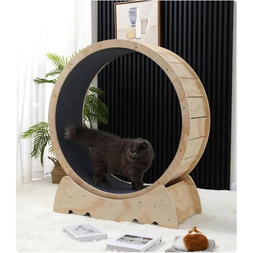 Rueda de ejercicio para gatos: diversión para correr, girar y rascar, cinta de correr para gatos con pista de alfombra, juguete deportivo para gatos Kitty