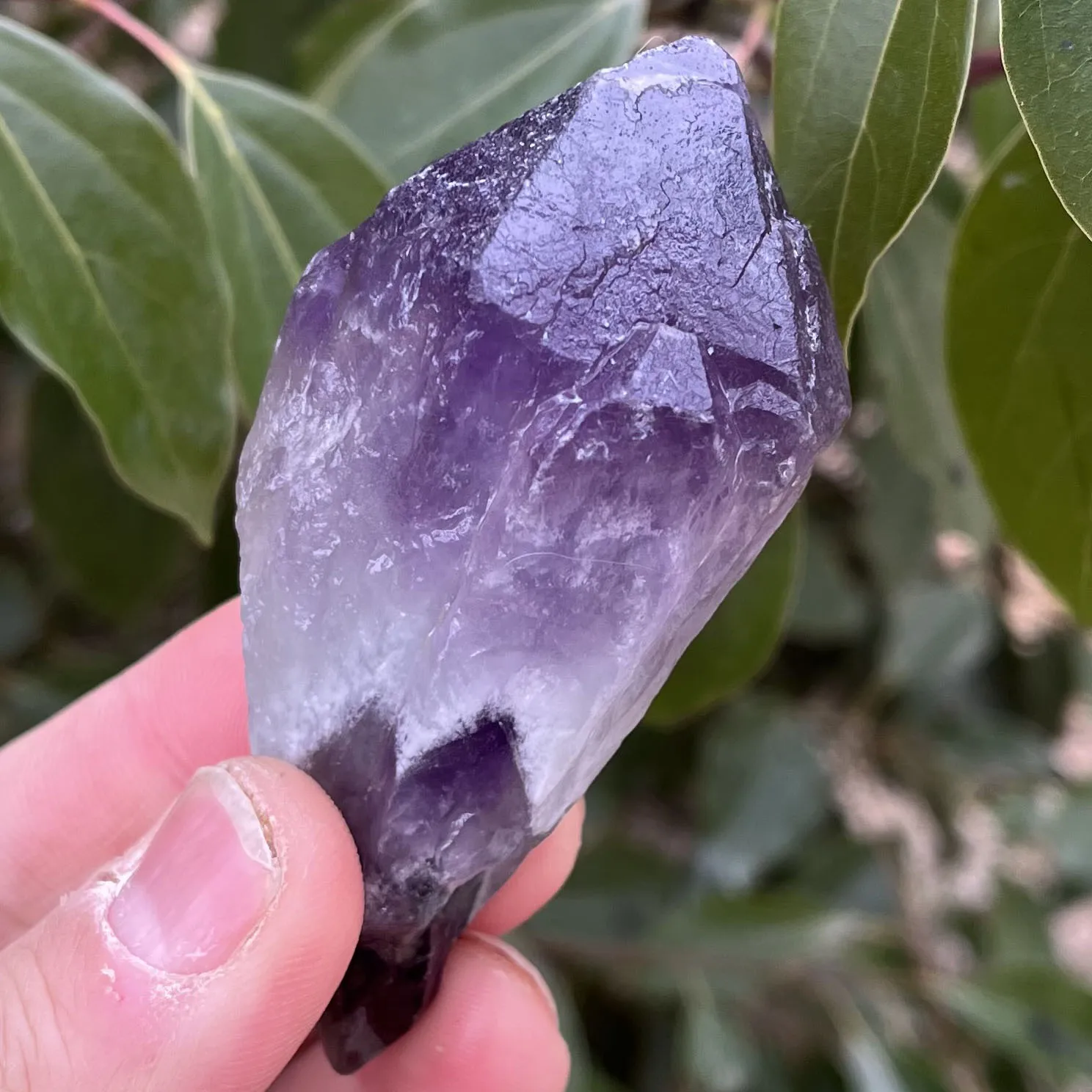 

Natural amethyst quartz cluster crystal specimen scepter super spiritual healing gemstone energy stone--zq113