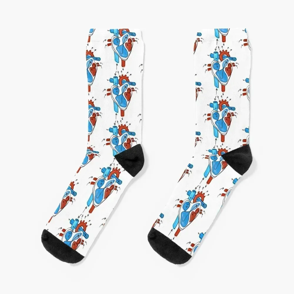 Anatomical Heart Doodle Socks aesthetic gym short Socks Man Women's