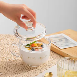 Heat-resistant Glass Cup with Lid and Spoon,Large Capacity,Office Bubble Tea,Oatmeal Coffee, Breakfast Milk Cup, Lead-free Craft