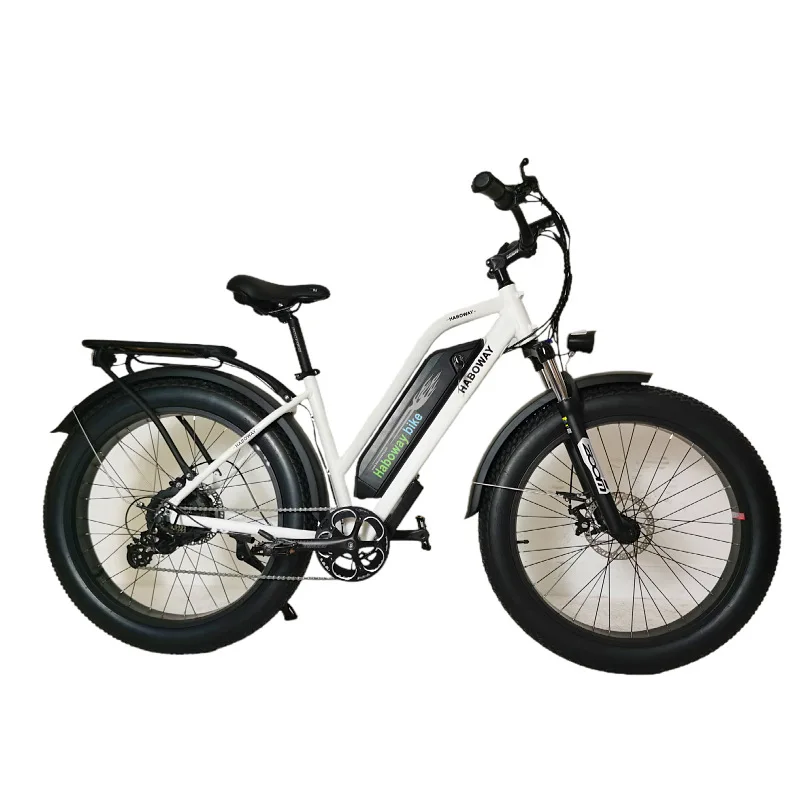 

STLF Power Electric Bike 26 Inch Mountain Electric Bike