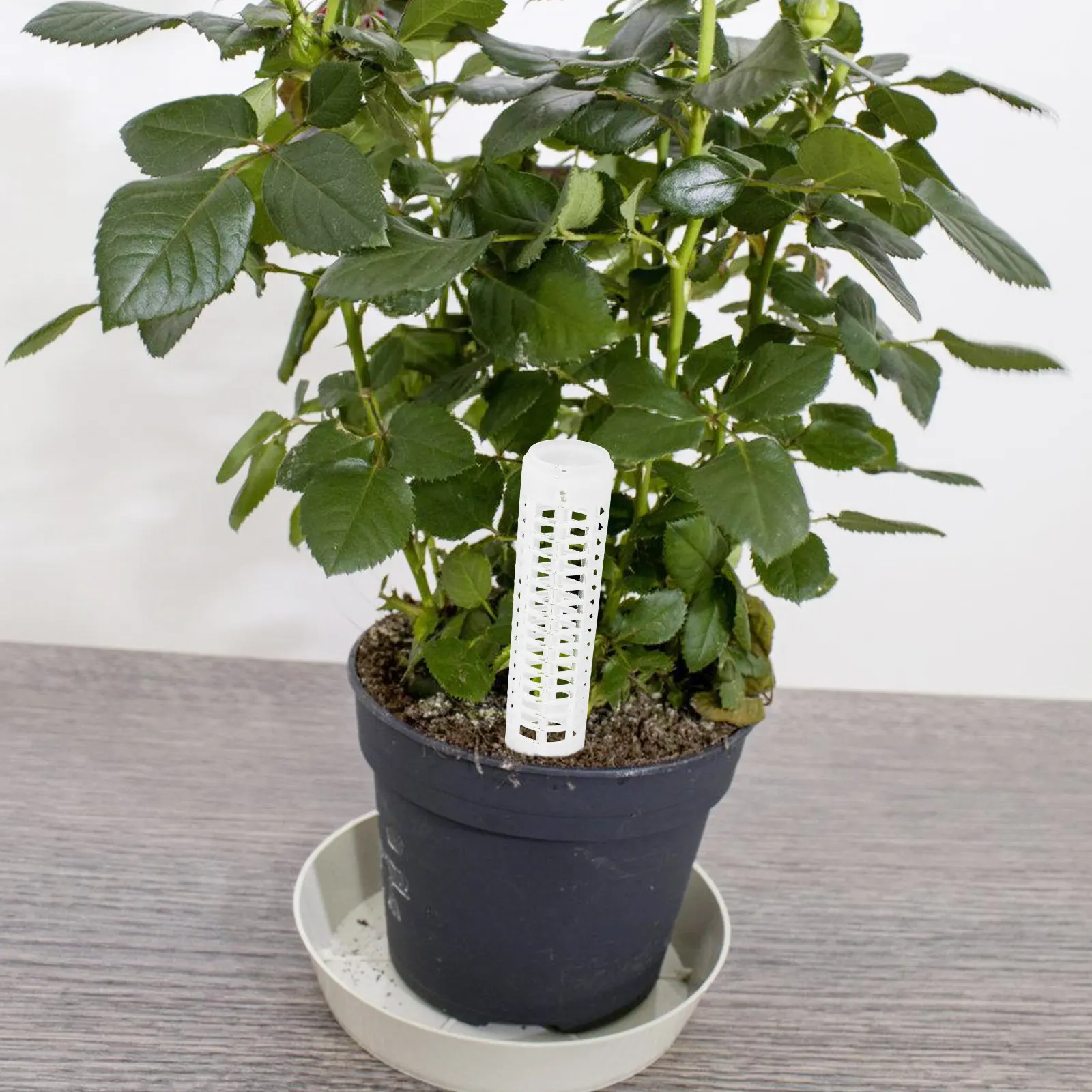 4 Postes de Plástico para Plantas Trepadoras, Soporte para Monstera, Pothos, Philodendron, Suministros de Jardinería para Interiores y Exteriores, Soporte para Tallos de Plantas