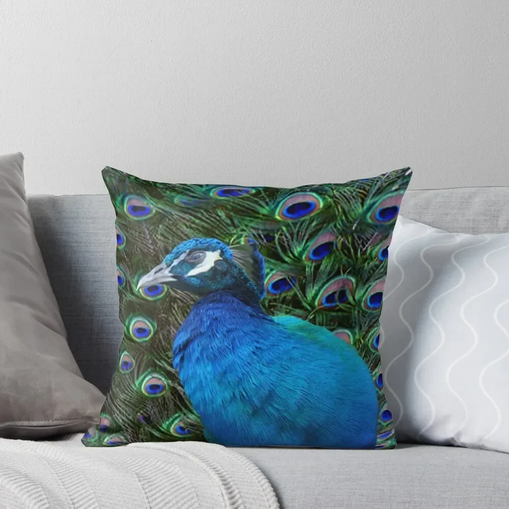 Peacock and Feather Throw Pillow Pillows Aesthetic Decorative Cushion Cover Decorative Sofa Cushion Cushions For Children pillow