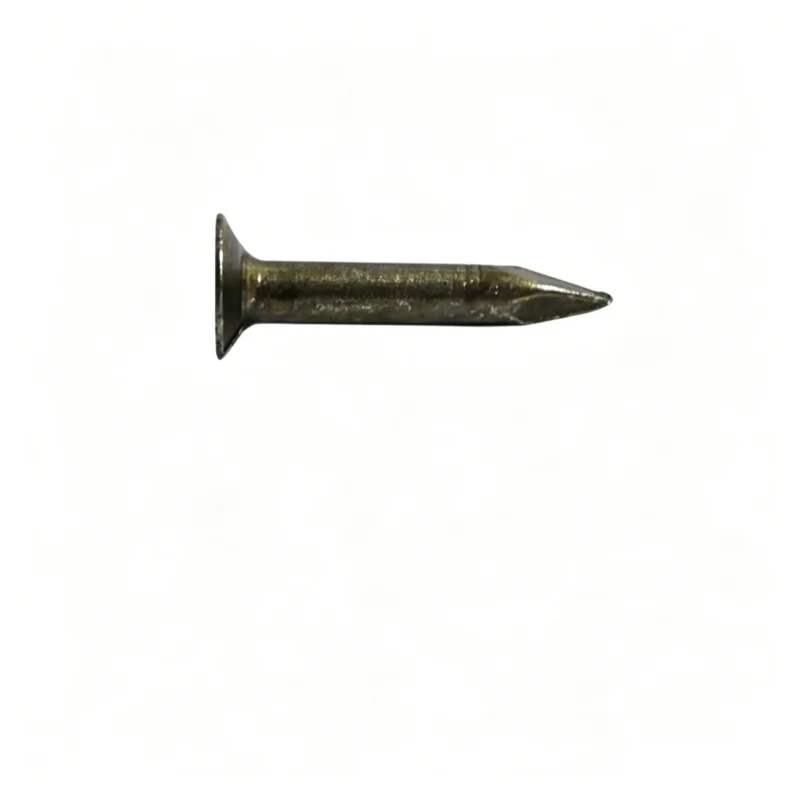 300 clavos para tejas de asfalto, cabeza grande, acero, cemento, para techos y fieltro 3