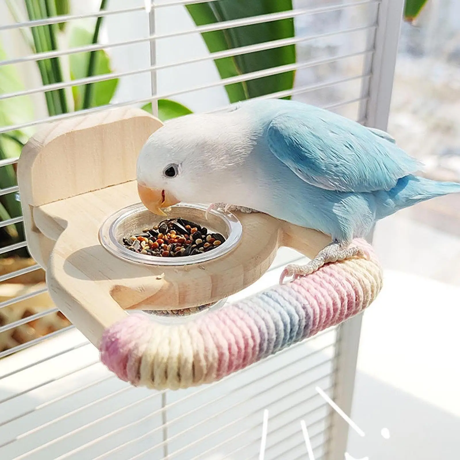 Bird Perch Compact Wood Perch Stand for Conures Small Parrots Parakeets