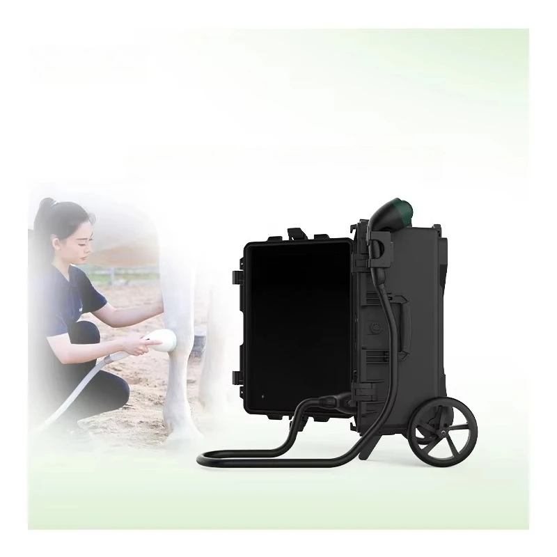 Hot Sale Focused Device Advanced Veterinary Shockwave Therapy Machine for Horse Dog Pain Relief and Tissue Rehabilitation