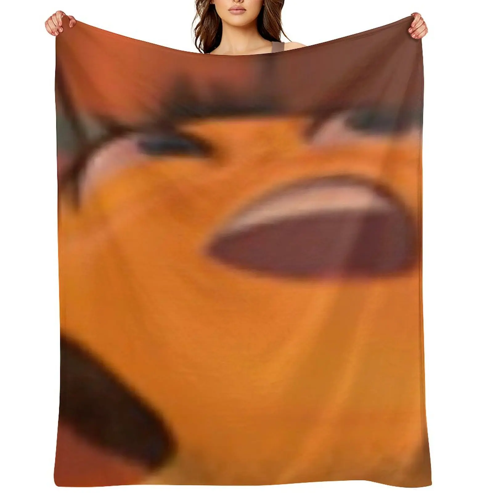 Barry Benson Bee Movie Meme Throw Blanket Thermal Flannel Moving Tourist Soft bed plaid Blankets