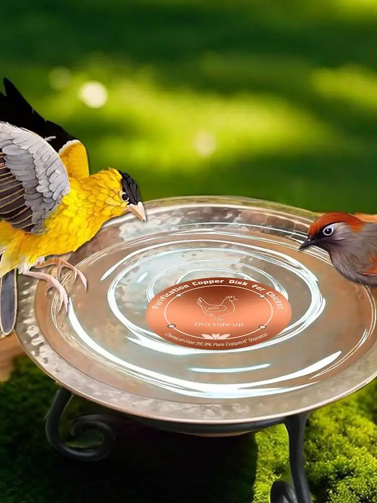 Copper Bird Bath Disc 4 Inches Water Cleaning Disc Copper Cleaning Disk for Outdoor Garden Patio Lawn Fountain Bowl Livestock - view 4