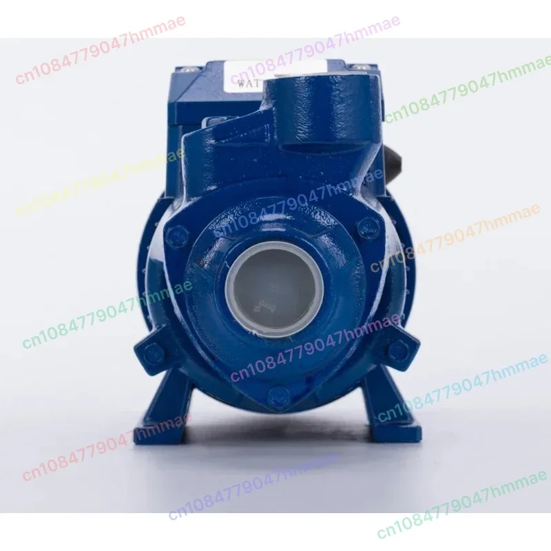 

QB60 Water Pump Household 220V 110V Single Phase 1 Inch Small Booster Pump with Copper Motor