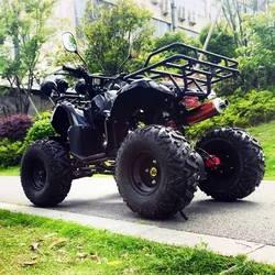 Automatic Quad Atv 110CC 125CC Four Wheel Off-road Motorcycle Chain Drive All Terrain Mountain ATVS Adults Customizable