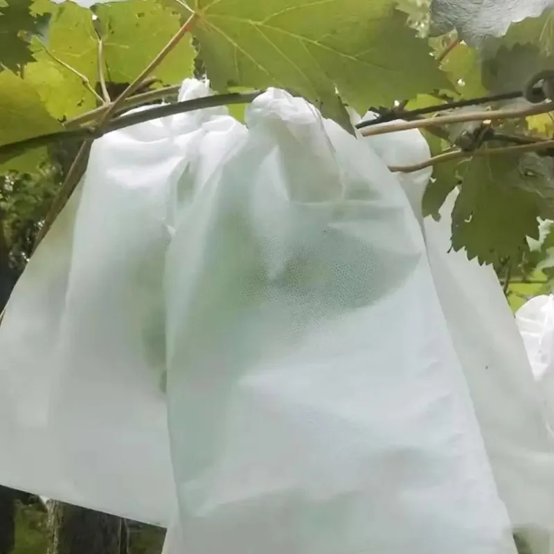 50/100pcs Strawberry Grapes Fruit Grow Bags Netting Mesh Protection Agriculture Garden Anti-Bird Tools Vegetable Bags Plant gallery 3