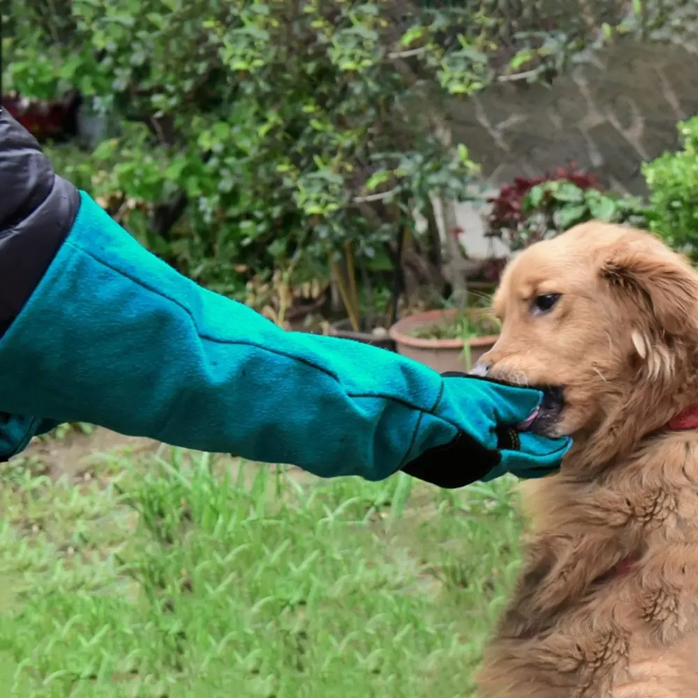 

1 пара защитных перчаток от царапин и царапин, устойчивых к укусам, износостойких перчаток для домашних животных, кожаных зеленых