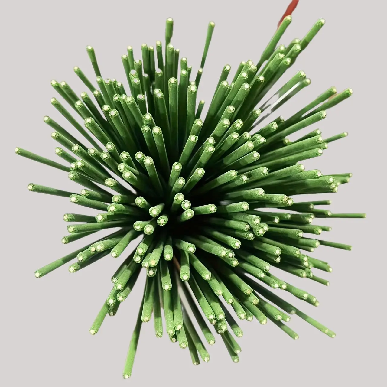 Reed Diffuser Sticks Lemongrass Aromatherapy Bamboo Scent Sticks Natural Home Fragrance Air Freshener Relaxing Aroma