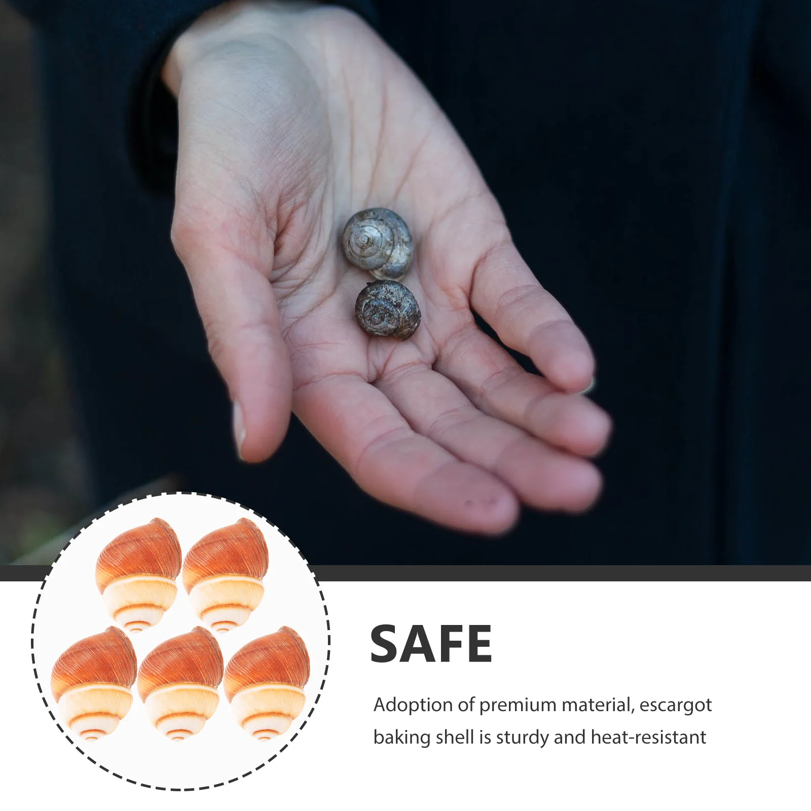 

5Pcs Natural Escargot Shells Heat Insulation Baking Thick French Style Safety for Home and Restaurant Escargot Shells