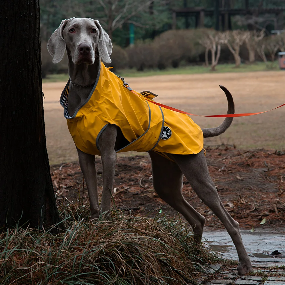 Pet Outdoor Waterproof Jacket Dog Breathable Down Jacket Hoodie Raincoat Large Dog Reflection Towing Pet Products Accessories