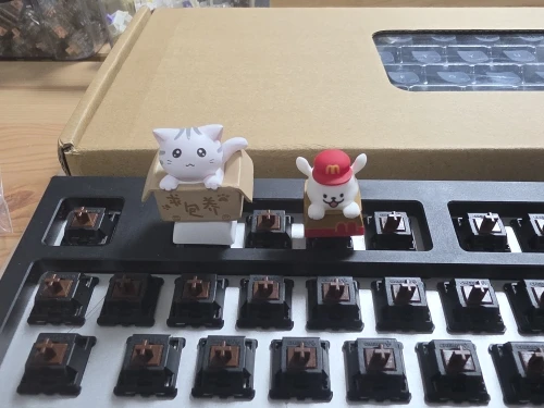 실물 포토 리뷰