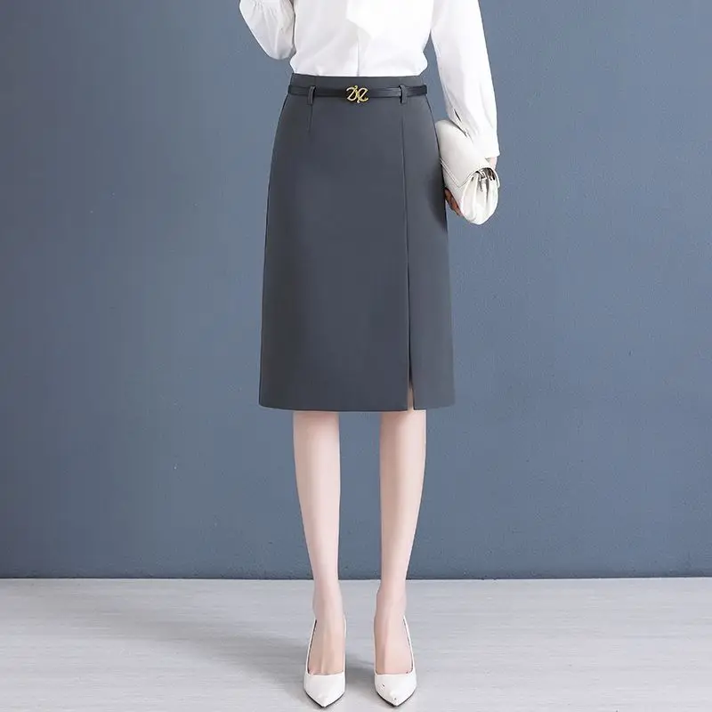 Falda acampanada para mujer en primavera y verano, nueva falda profesional de cintura alta con paquete de cadera, falda de un solo paso con temperamento de longitud media