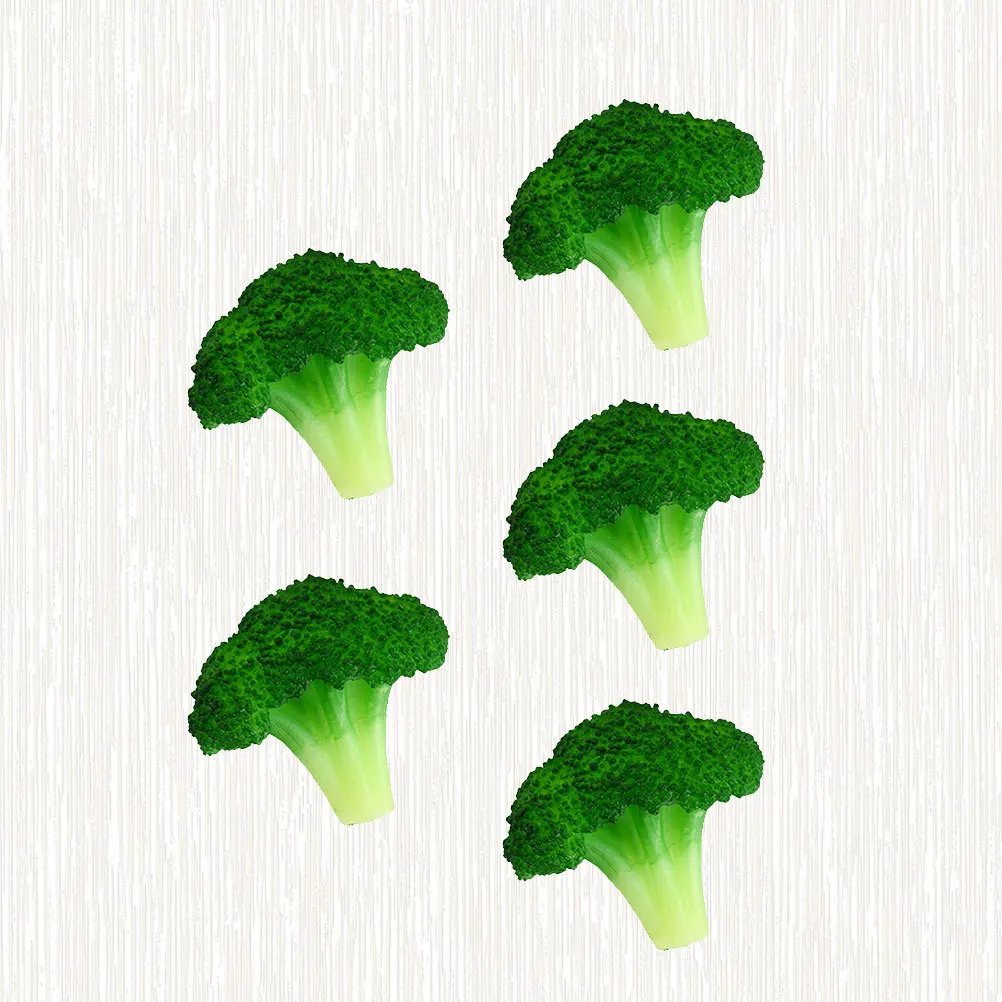 

Alipis 5pcs Artificial Broccoli Fake Vegetables Decor Imitation Plant Food Teaching Aids for Kids Toddler Play Kitchen